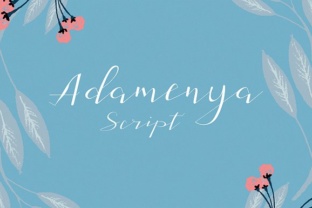 Adamenya Font: Elevate Digital Campaigns