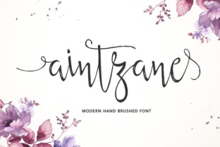 Aintzane Font: Elevating Digital Brand Identity