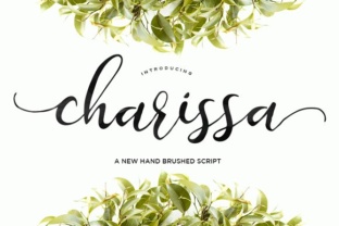 Charissa Font Review for Digital Brand Design