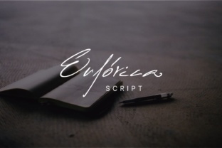 Euforica: A Designer’s Take on Modern Script