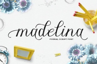Madelina Font: Elevating Editorial Design