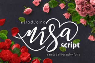Nisa Font Review: A Modern Script for Organic Branding