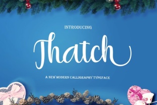Thatch Font Review: Modern Script for Web Design