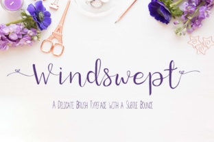 Windswept Font: Elevating Small Business Branding